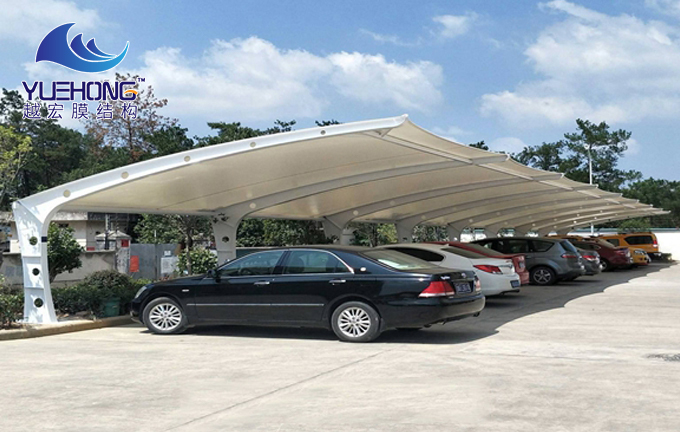 1604995556406244.jpg 1 (11).jpg